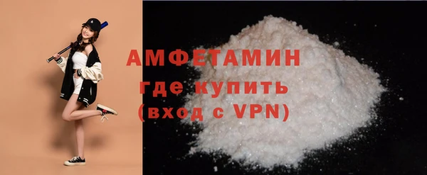 амф Верхний Тагил