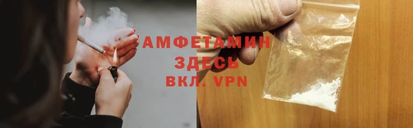 амф Верхний Тагил