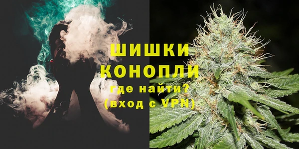 амф Верхний Тагил