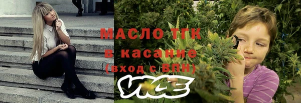 амф Верхний Тагил