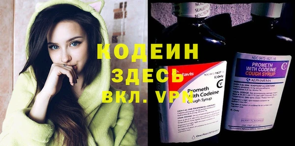 амф Верхний Тагил