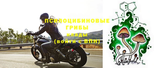 амф Верхний Тагил