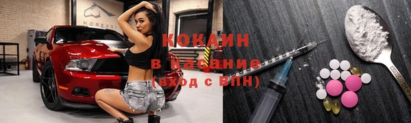 амф Верхний Тагил