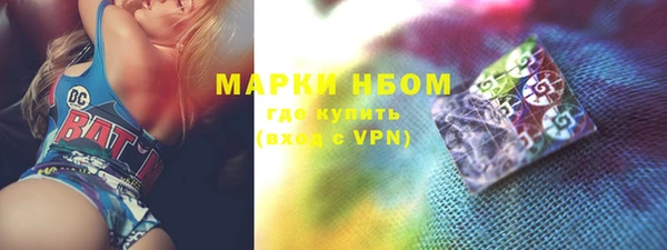 амф Верхний Тагил